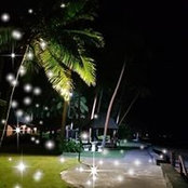 Trudy Stone's photo