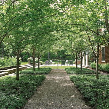 Transitions: Pathways, Landings & Steps