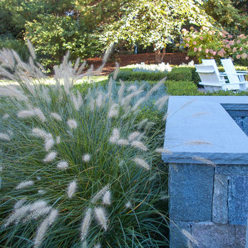 Contemporary Landscape