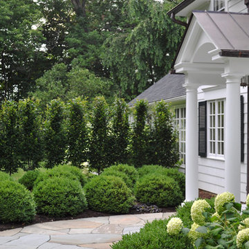 Boxwood House