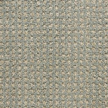 Masland Alpha 9599 Nylon Residential Carpet