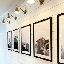 feature walls