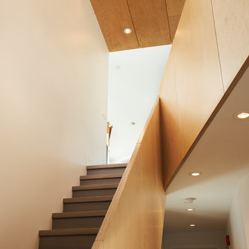Baltic Birch Panel Railing System