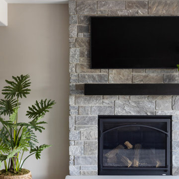 Basement Living Room