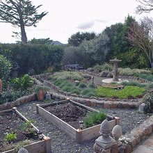 raised beds
