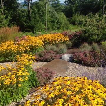 Hancock New Hampshire Meadow