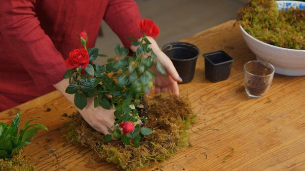 Houzz TV: This Living Centerpiece Turns Into Gifts
