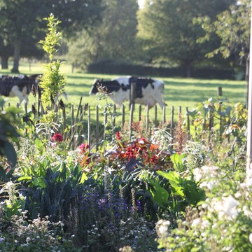 Photos du jardin 2015