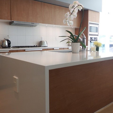 Seattle Kitchen Renovation