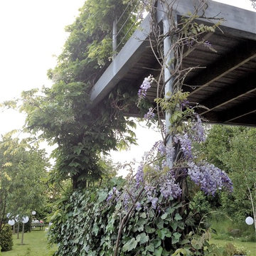 Växtälskarens trädgård