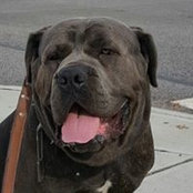 Shawn Jones's photo