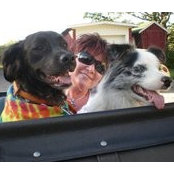 Carole Selner's photo