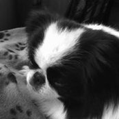 Joanne Pardy's photo