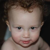 Ellen Brill Menesale's photo