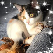 Brenda Coppage's photo