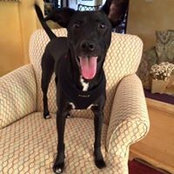 Denise Ganz's photo