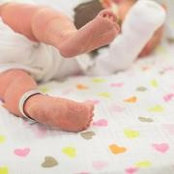 Courtney Larson's photo