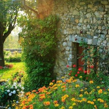 French Country Garden