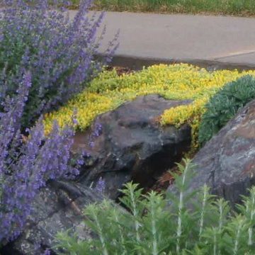 Plant Combinations