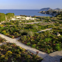 terraza y jardin