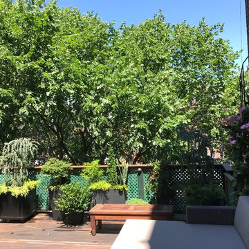 Beacon Street, Boston MA
