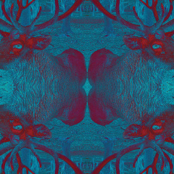 Design "Deer´s Web" – Kollektion / collection "Ornamental Dreams"
