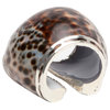 Wide Tiger Cowrie Shell Napkin Rings, Set of 4