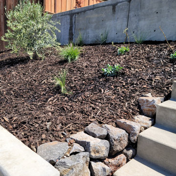 Silvercrest Ct, Pinole | Hardscape & Landscape Build