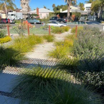 Pathway and Walkway designs