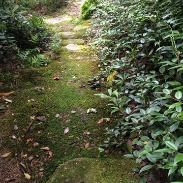 Cashiers, NC Garden