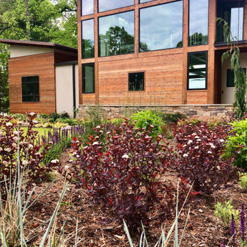 Pollinator-friendly front bed
