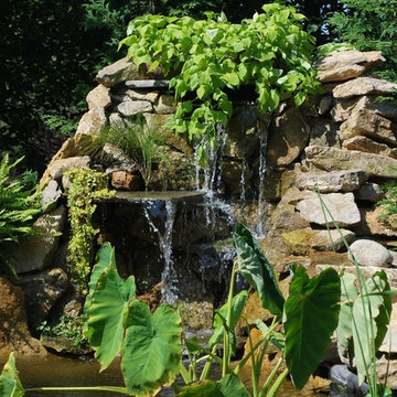 Ponds and Water Features