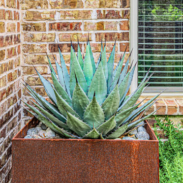 Transitional McKinney Masterpiece | All-inclusive Outdoor Living