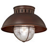 Harwich 10-in Outdoor Flush Mount Ceiling Light Burnished Bronze
