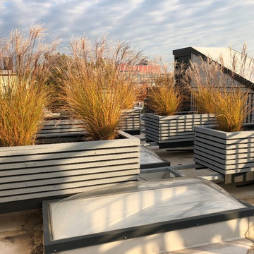 Jersey City Roof Garden