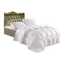 Stacey's ideas