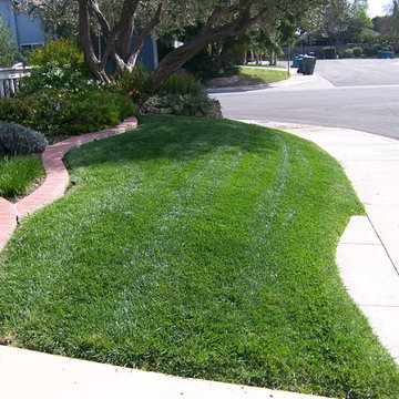 Lawn Replacement Thousand Oaks