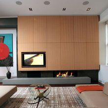 TV Fireplace combo