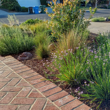 Saving Water and Supporting Wildlife with a Lawn Conversion