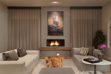 Large trendy open concept light wood floor and brown floor living room photo in Phoenix with a ribbon fireplace, a plaster fireplace and gray walls