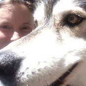 Kelly Lee's photo