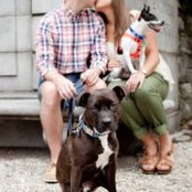 Vivian Rodriguez's photo