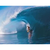 John Walsh's photo
