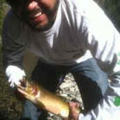 Shane Baumgarten's photo