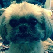 Dixie Robinson's photo