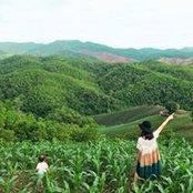 Foto von Alam Imsamut