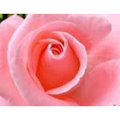 Chamila Ranasinghe's photo