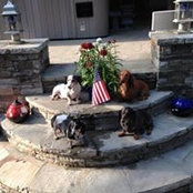 David Neu's photo