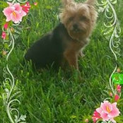 Leona Johnson's photo