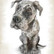 Corwin Driskill's photo